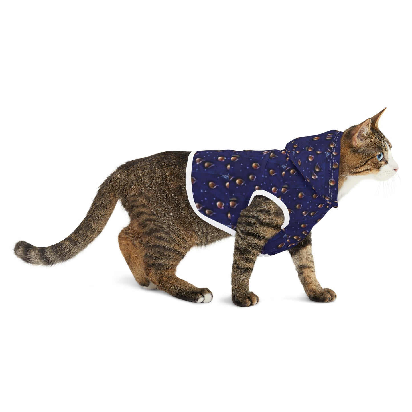 Celion Fashion World's Pet Hoodie.