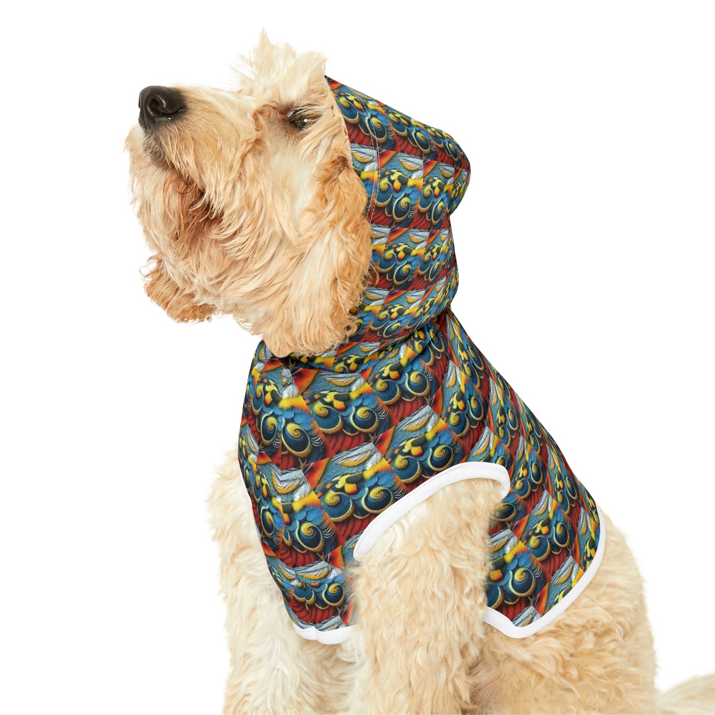 Celion Fashion World's Pet Hoodie.