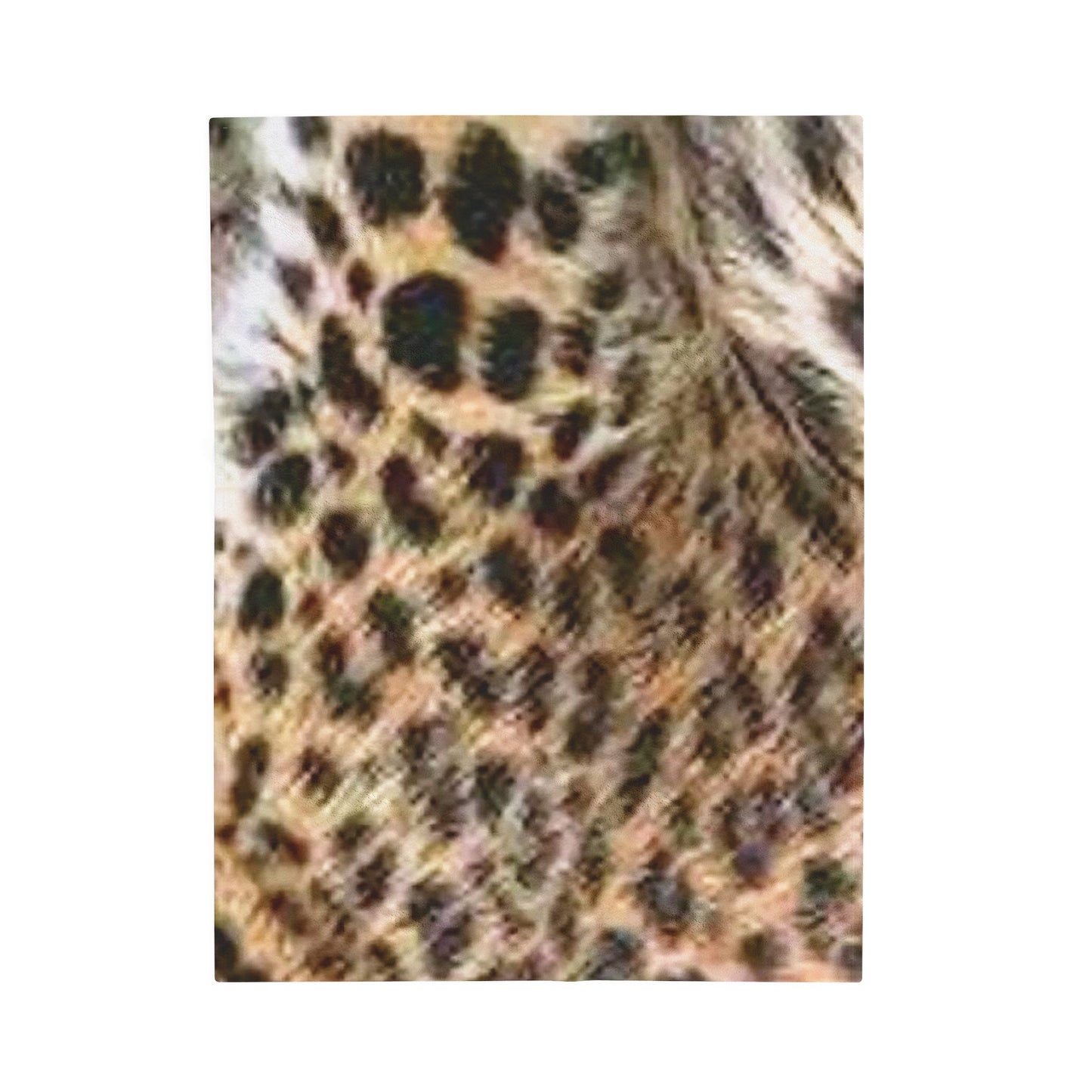 Celion Fashion World's Velveteen Plush Blanket.