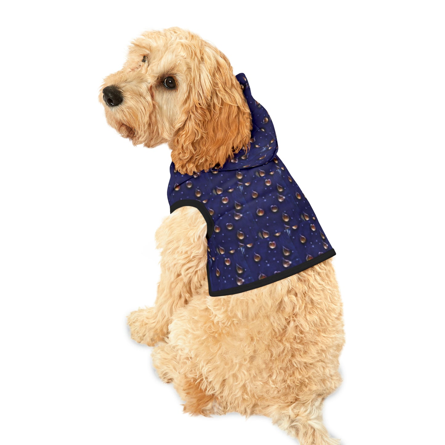 Celion Fashion World's Pet Hoodie.