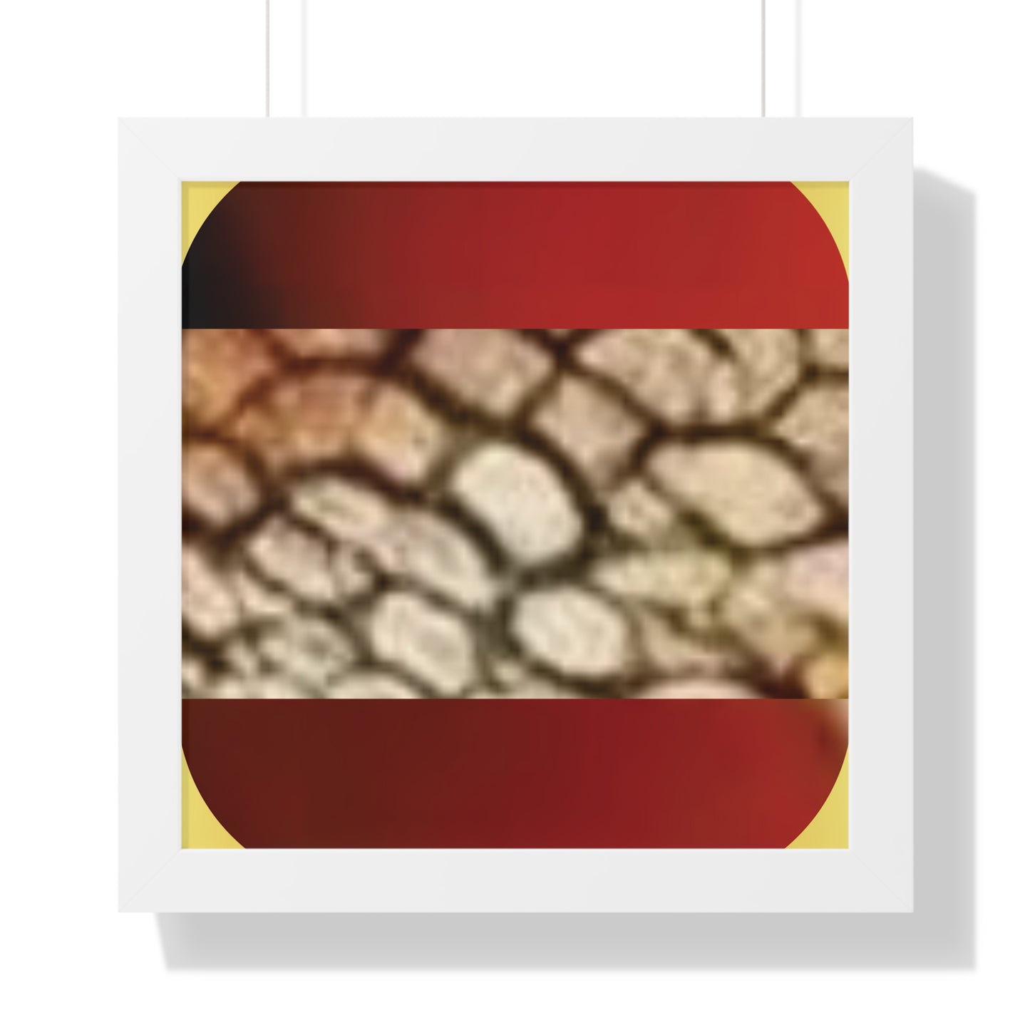 Celion Fashion World's Framed Vertical Poster.