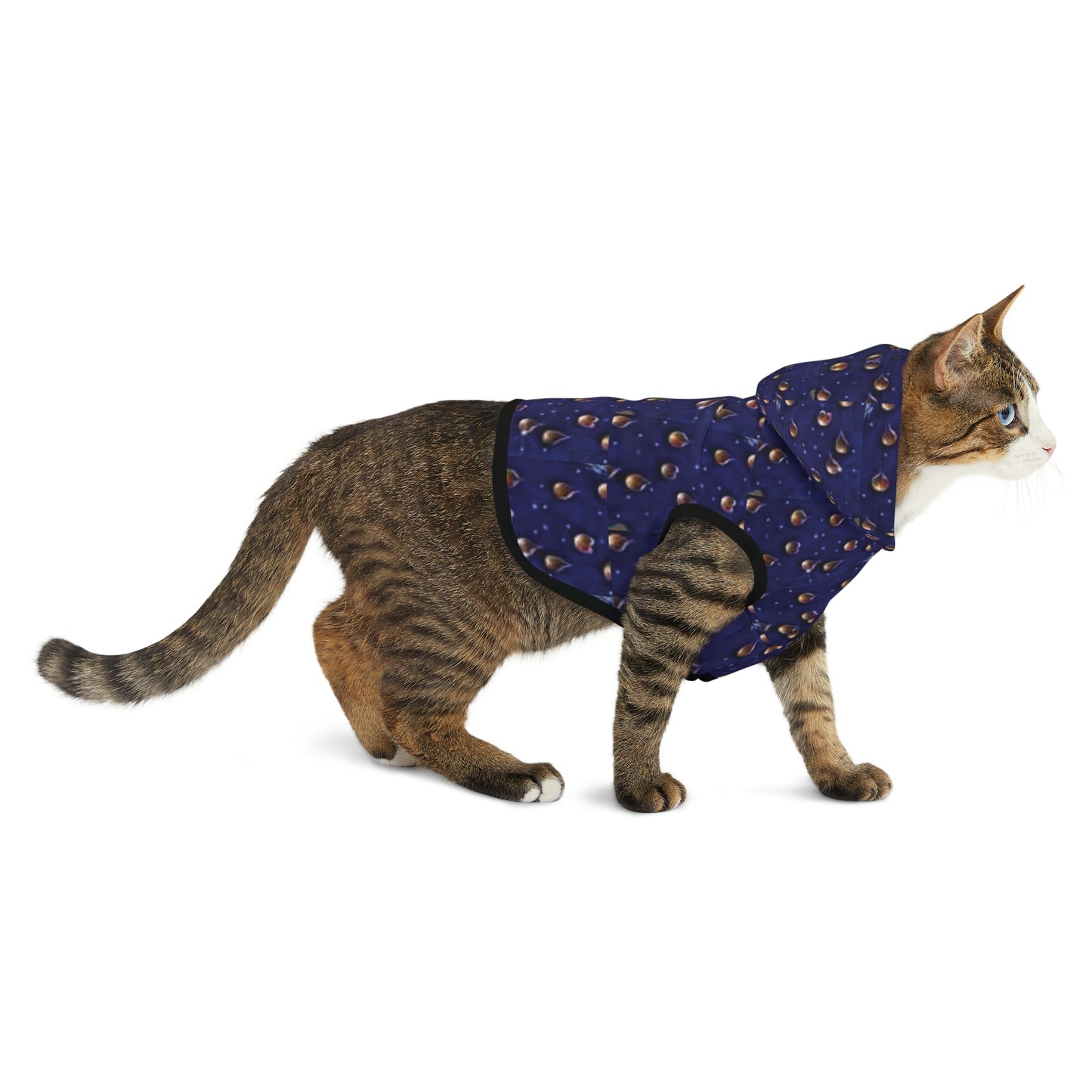 Celion Fashion World's Pet Hoodie.