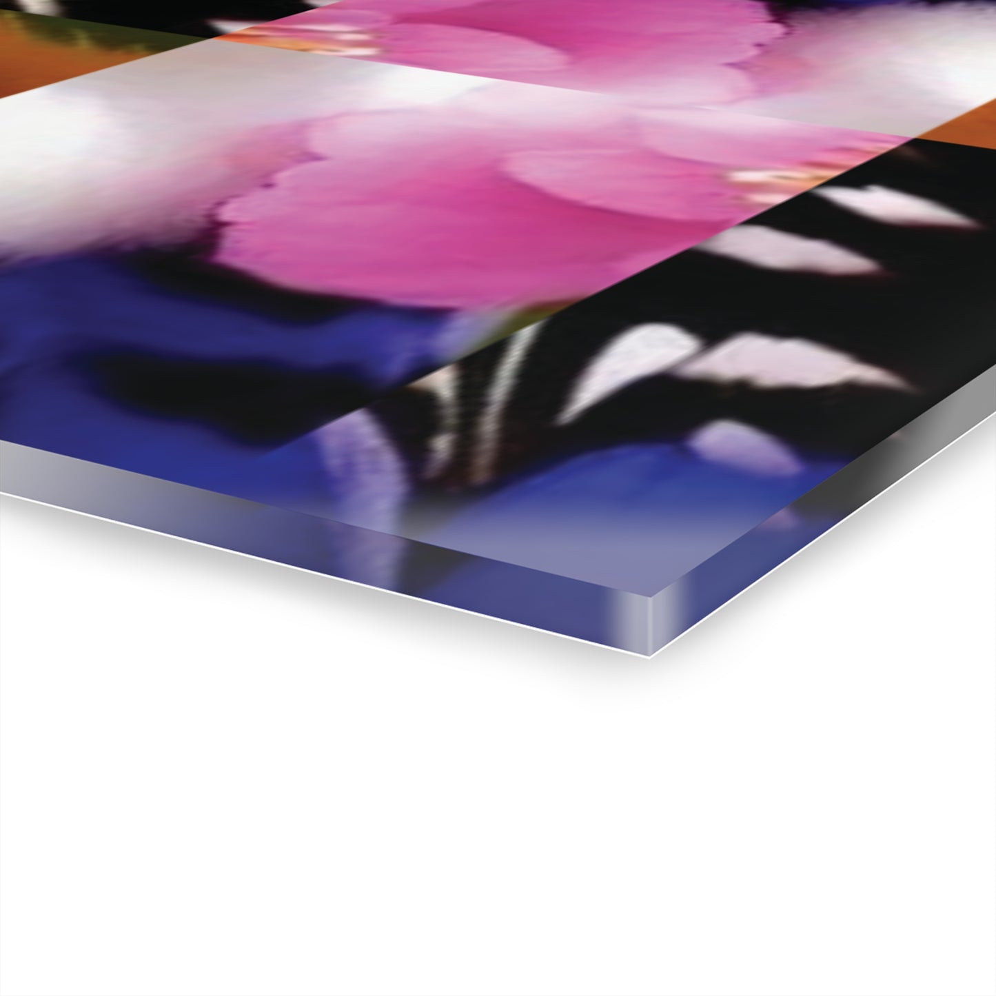 Celion Fashion World's Acrylic Prints (Triptych).