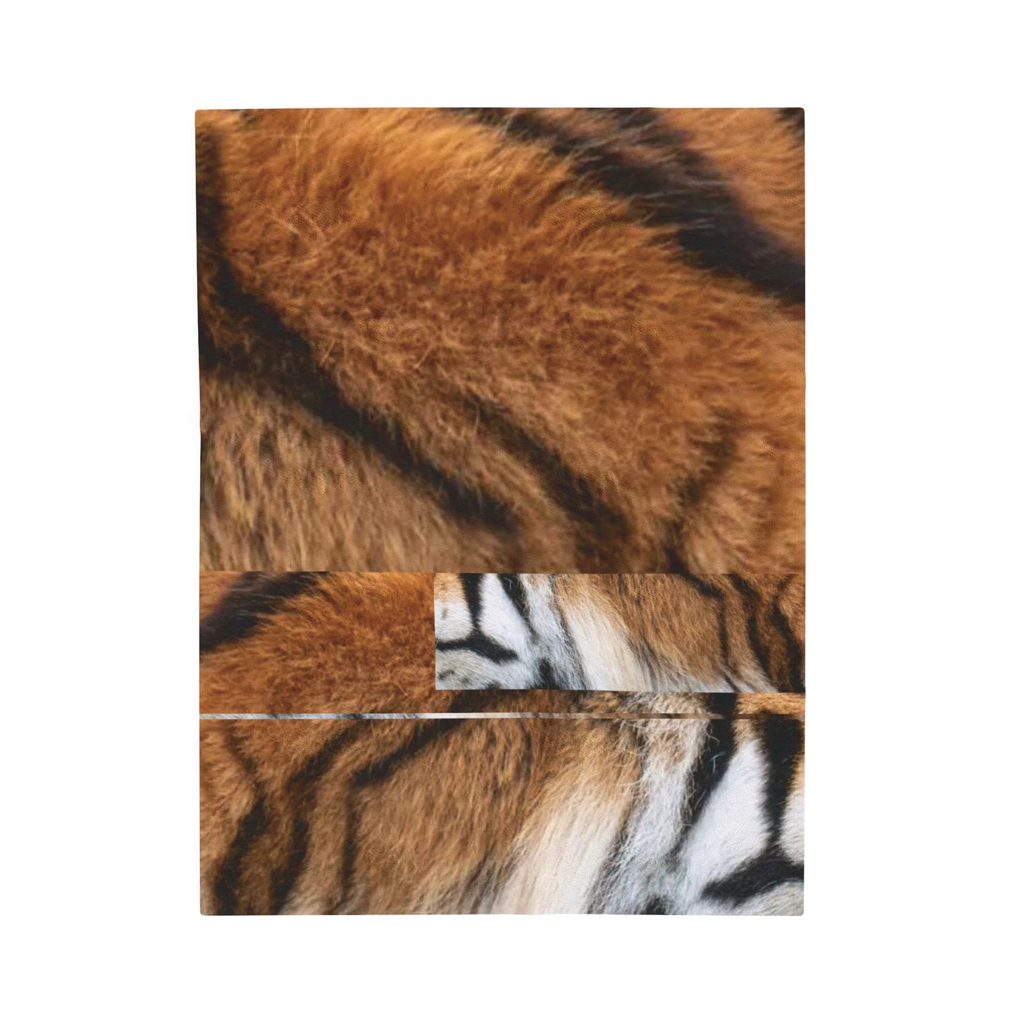 Celion Fashion World's Velveteen Plush Blanket.