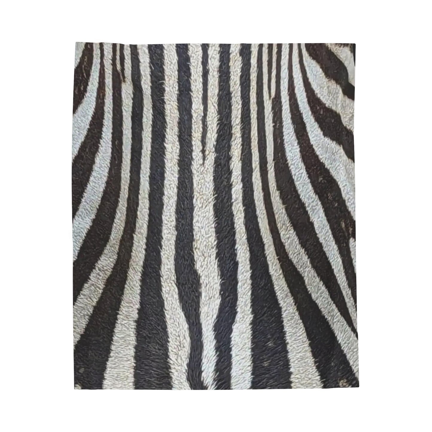 Celion Fashion World's Velveteen Plush Blanket