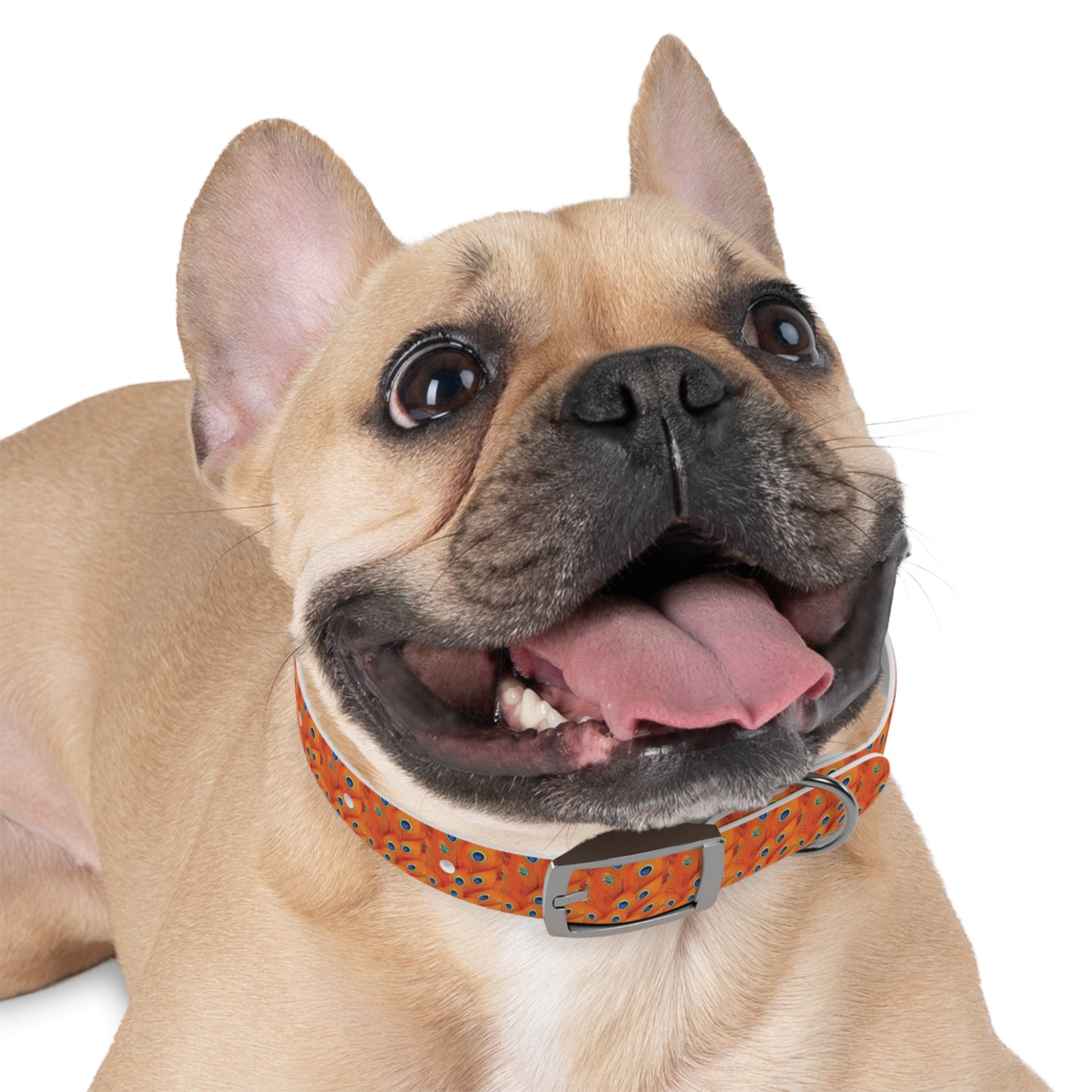 Celion Fashion World's Dog Collar.