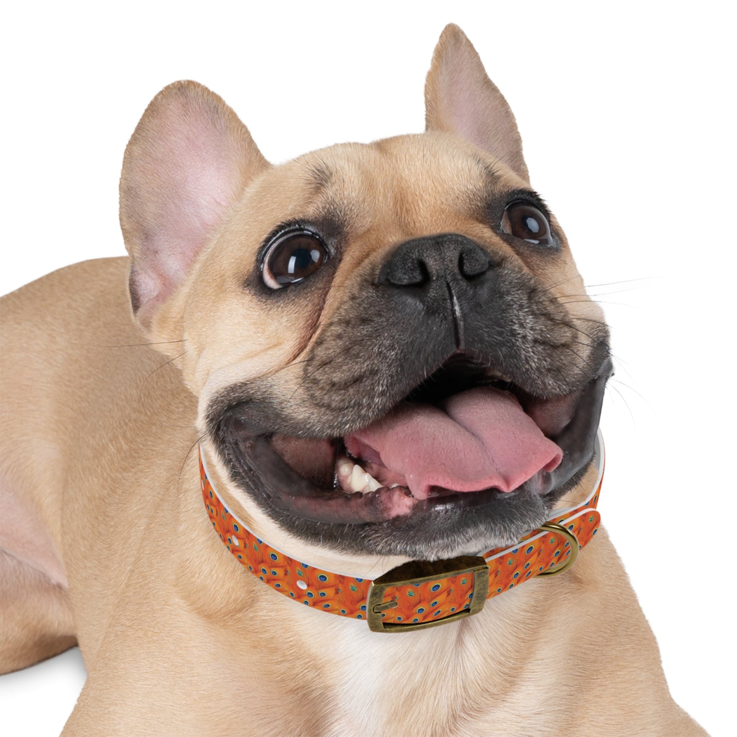 Celion Fashion World's Dog Collar.