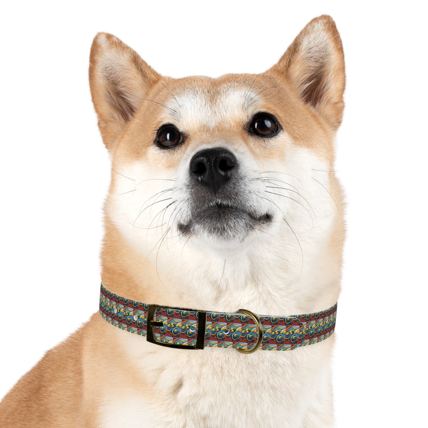 Celion Fashion World's Dog Collar.