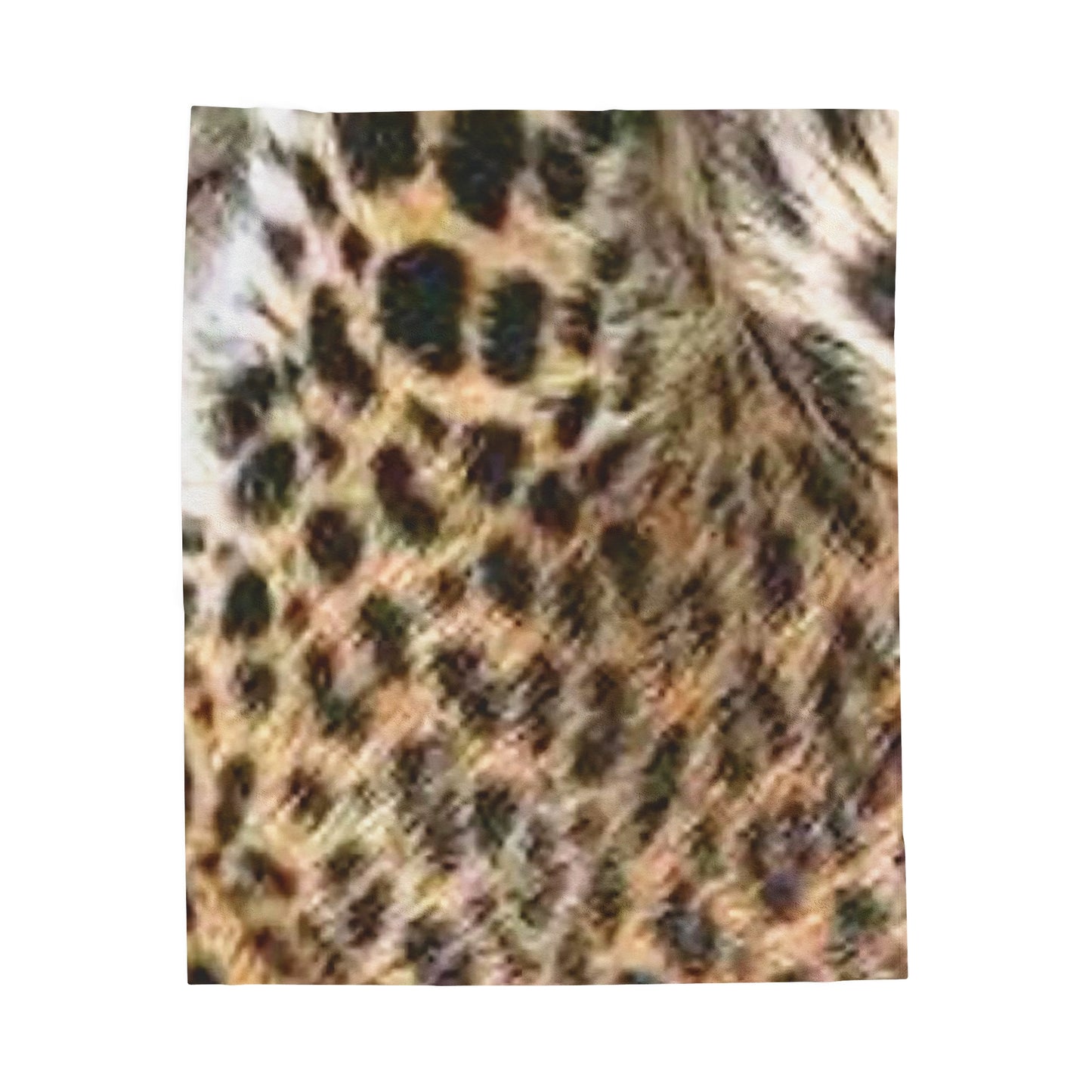 Celion Fashion World's Velveteen Plush Blanket.