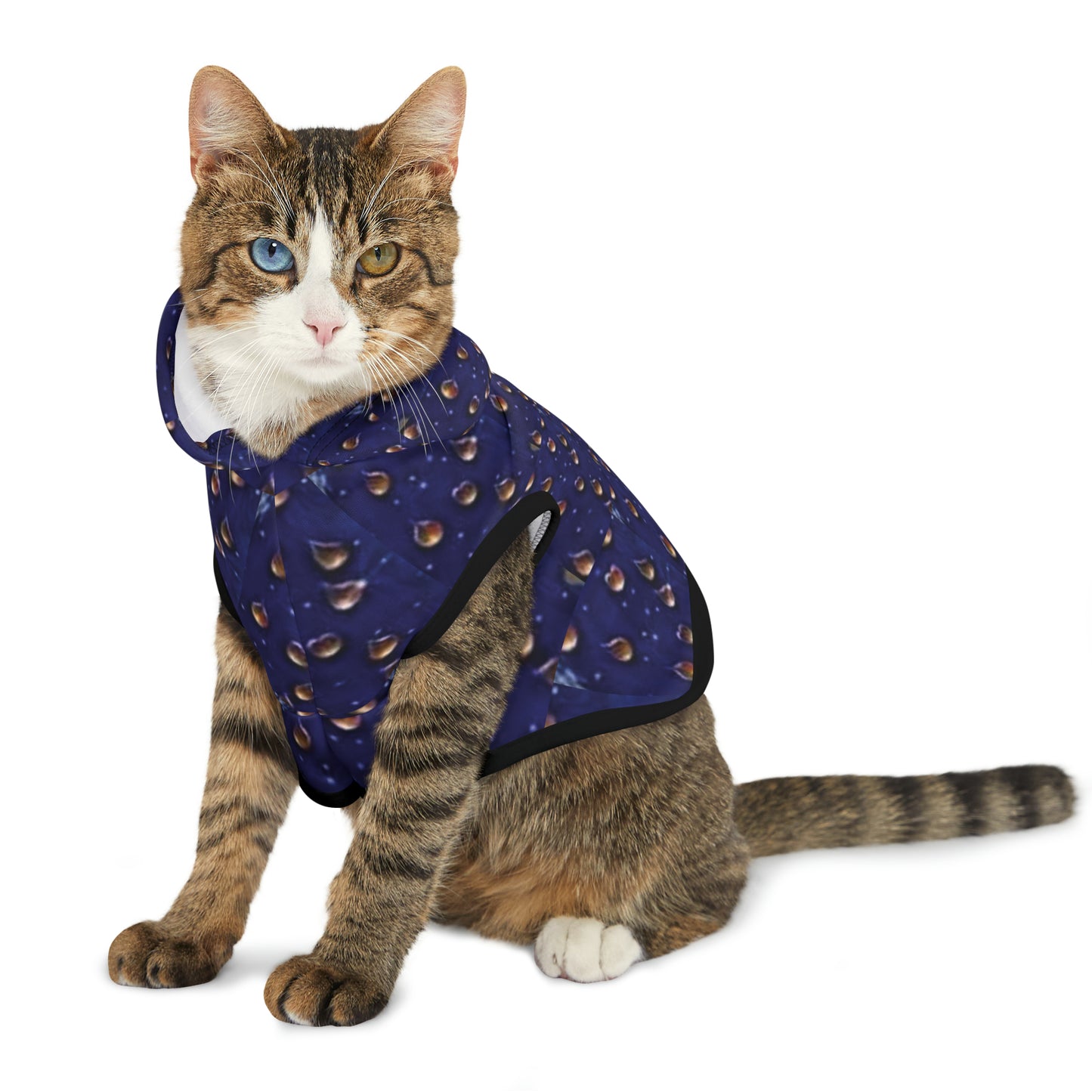 Celion Fashion World's Pet Hoodie.