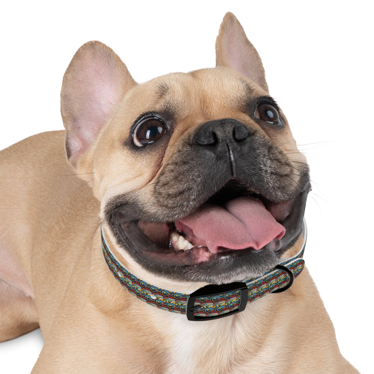Celion Fashion World's Dog Collar.