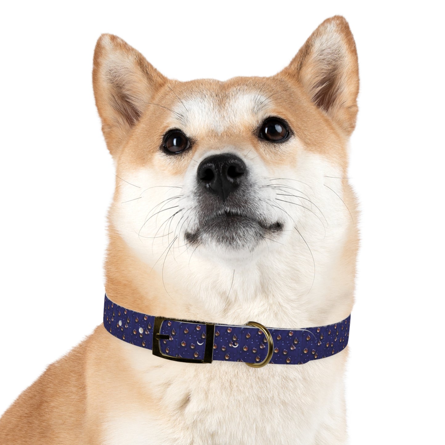Celion Fashion World's Dog Collar.