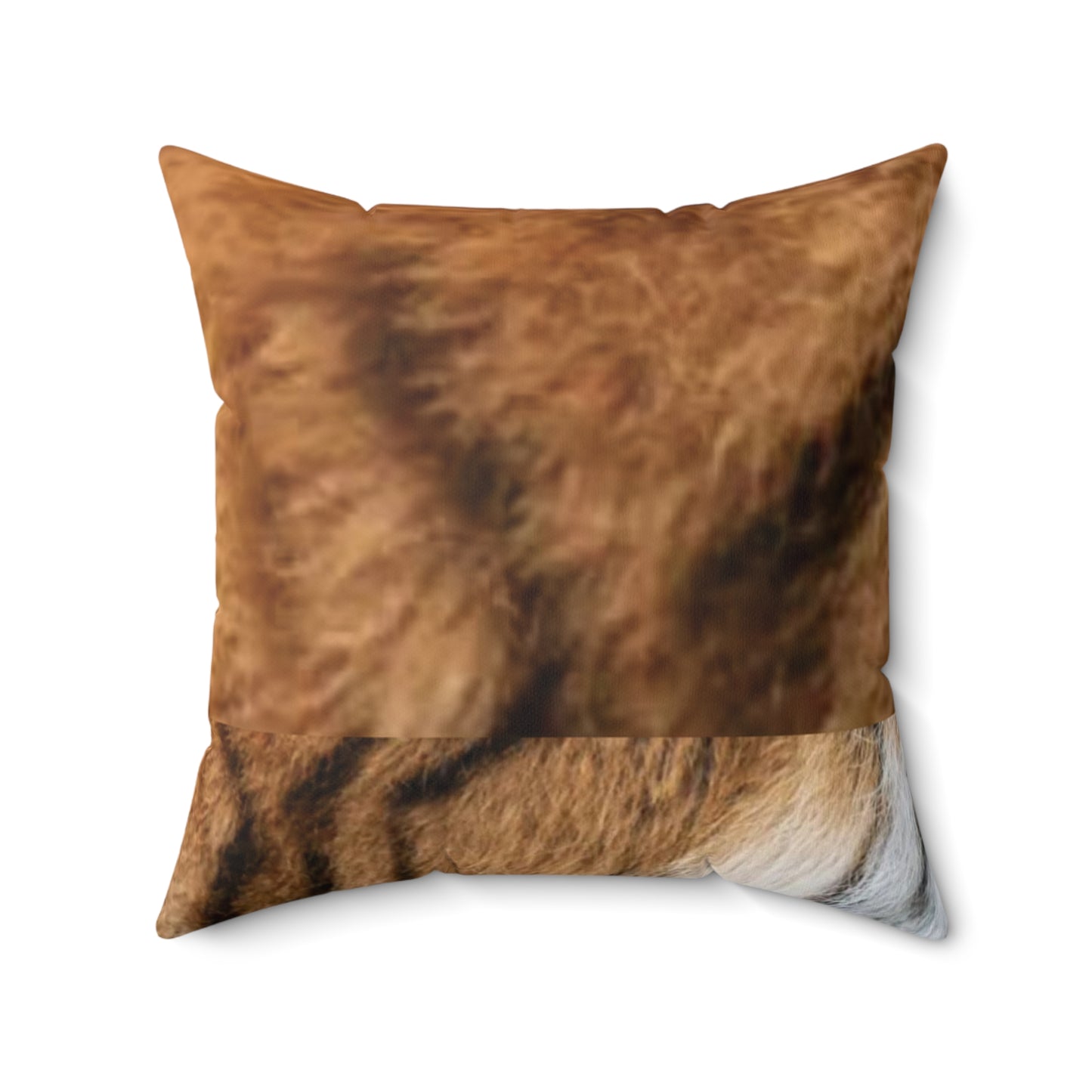 Celion Fashion World's Spun Polyester Square Pillow.