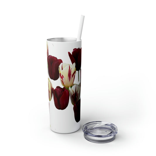 Celion Fashion World's Skinny Tumbler with Straw, 20oz.