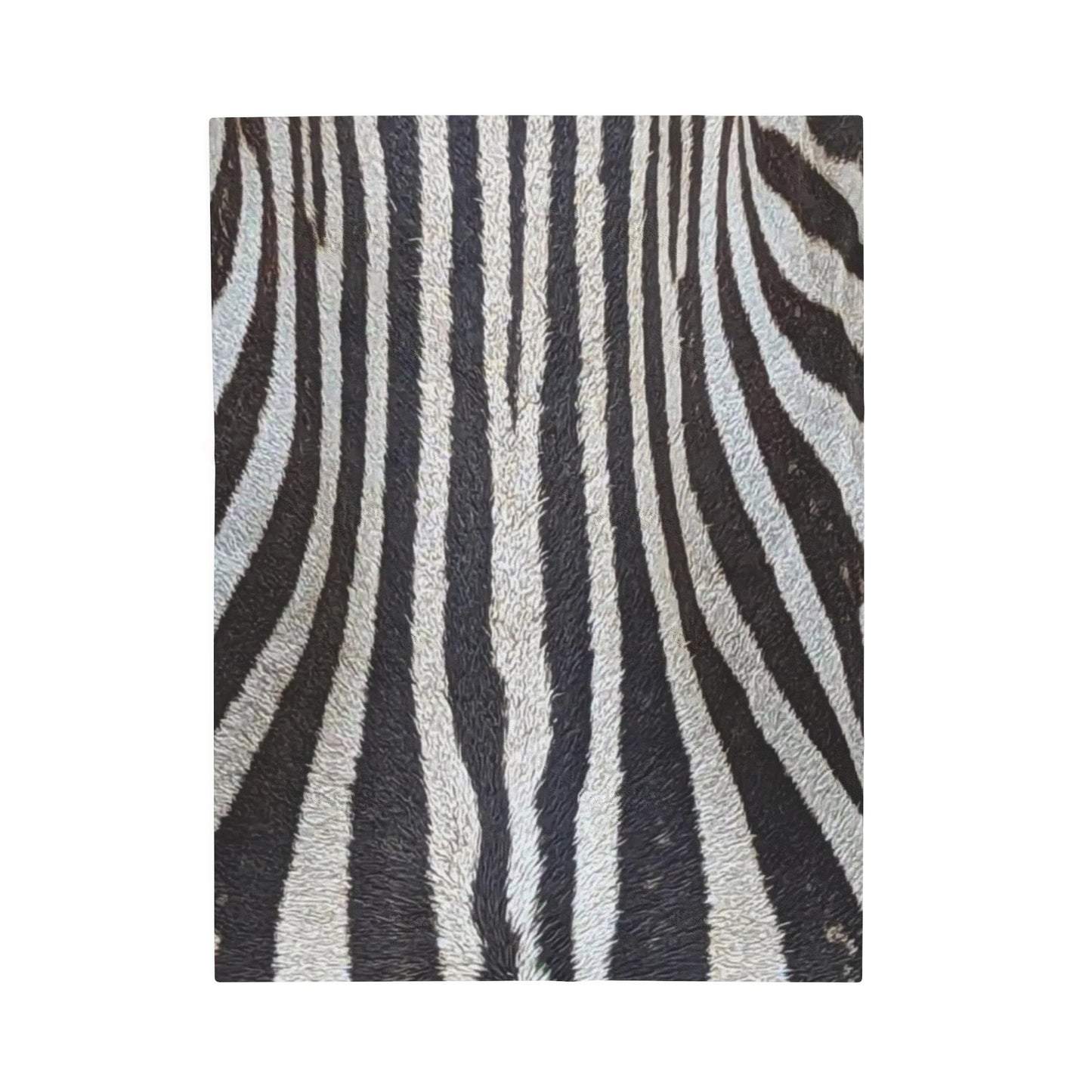 Celion Fashion World's Velveteen Plush Blanket