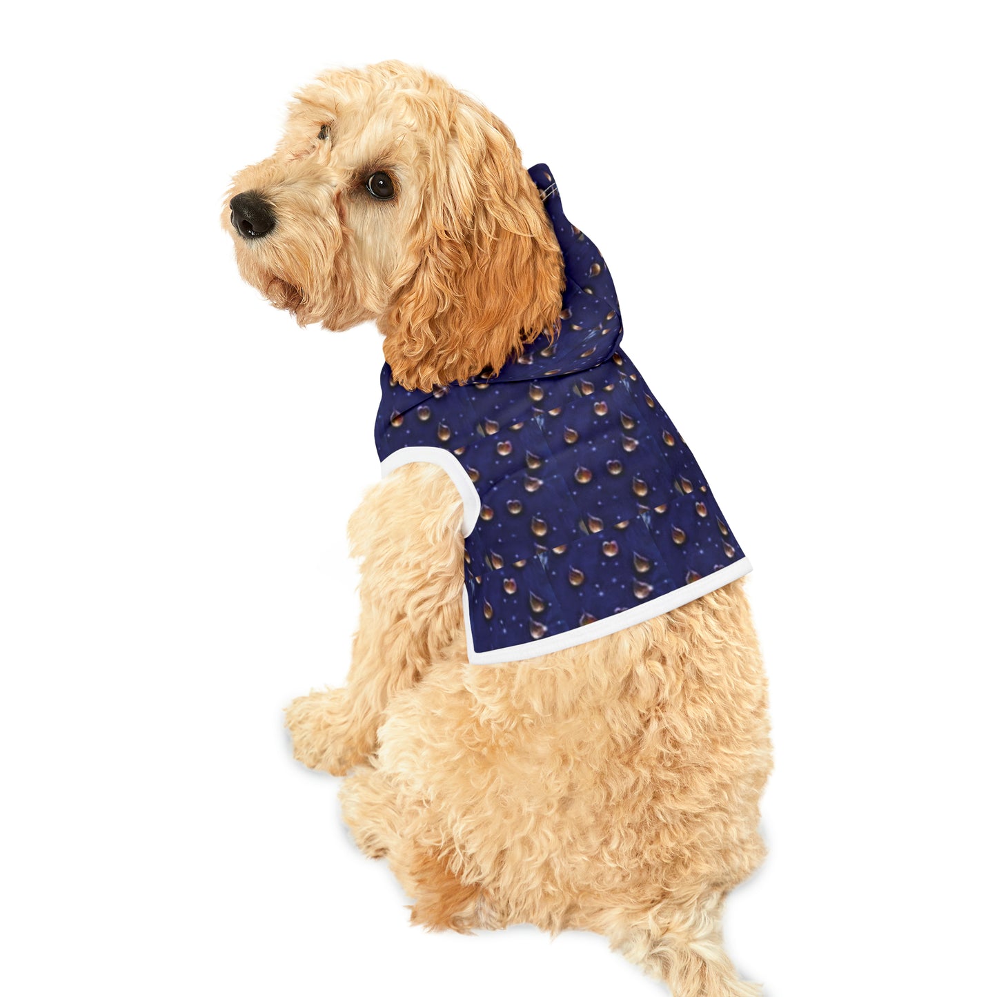 Celion Fashion World's Pet Hoodie.