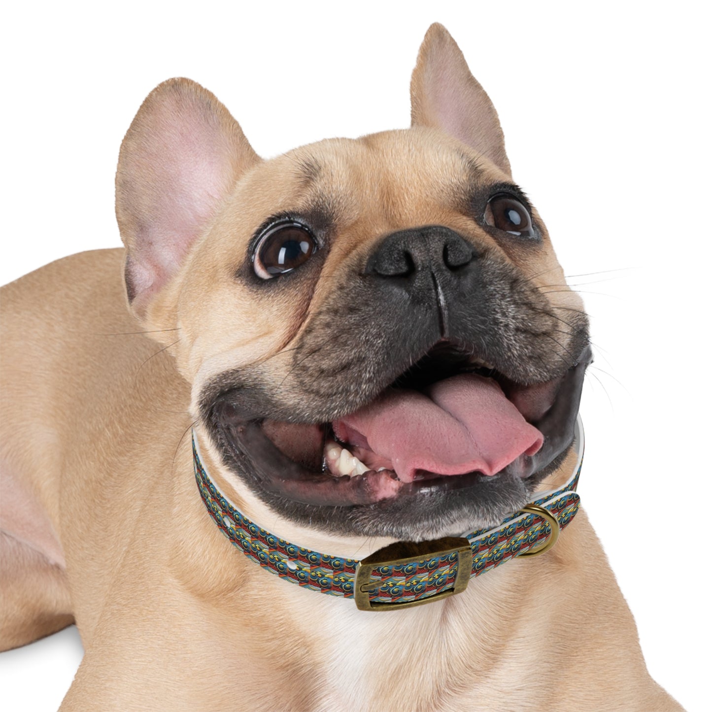 Celion Fashion World's Dog Collar.