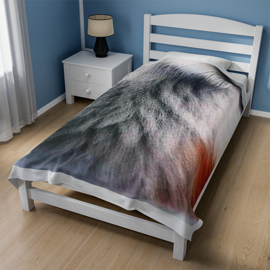 Celion Fashion World's Velveteen Plush Blanket.