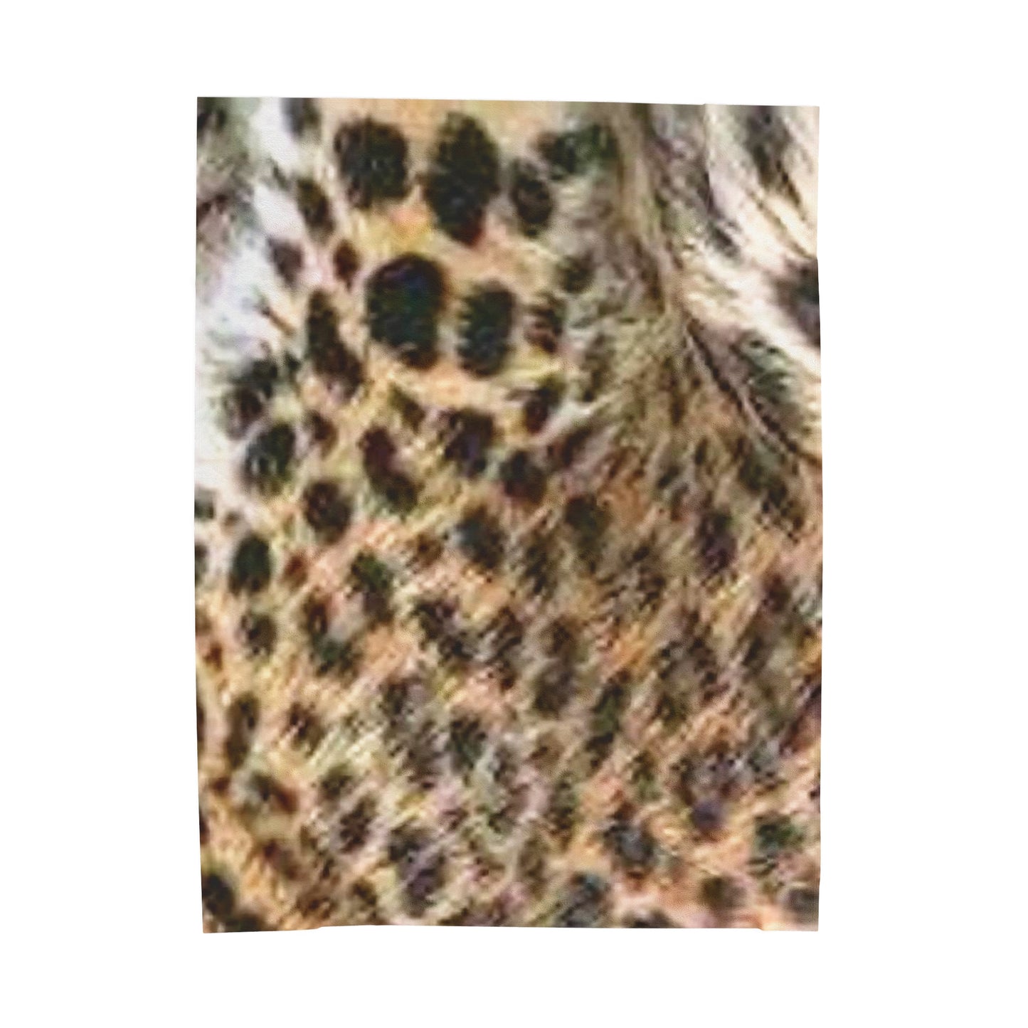 Celion Fashion World's Velveteen Plush Blanket.