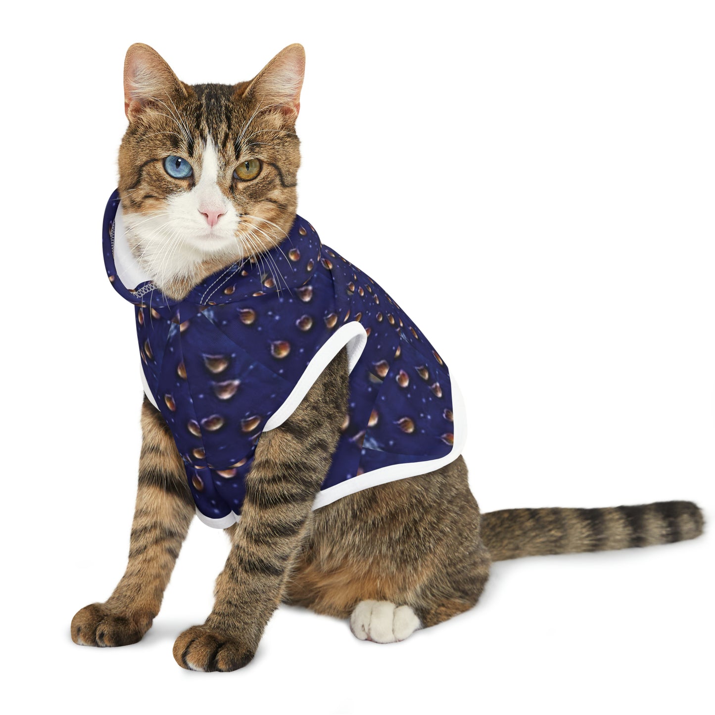 Celion Fashion World's Pet Hoodie.