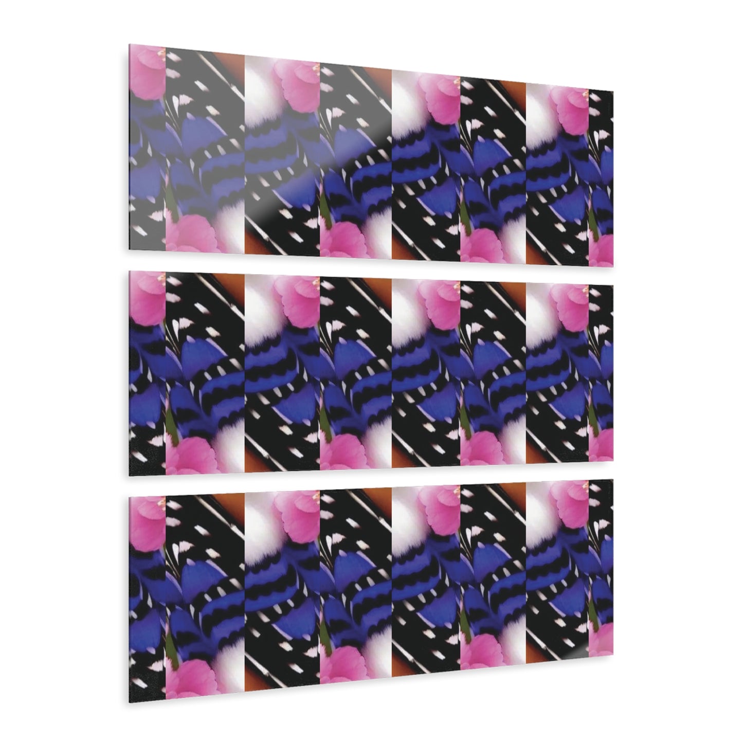 Celion Fashion World's Acrylic Prints (Triptych).