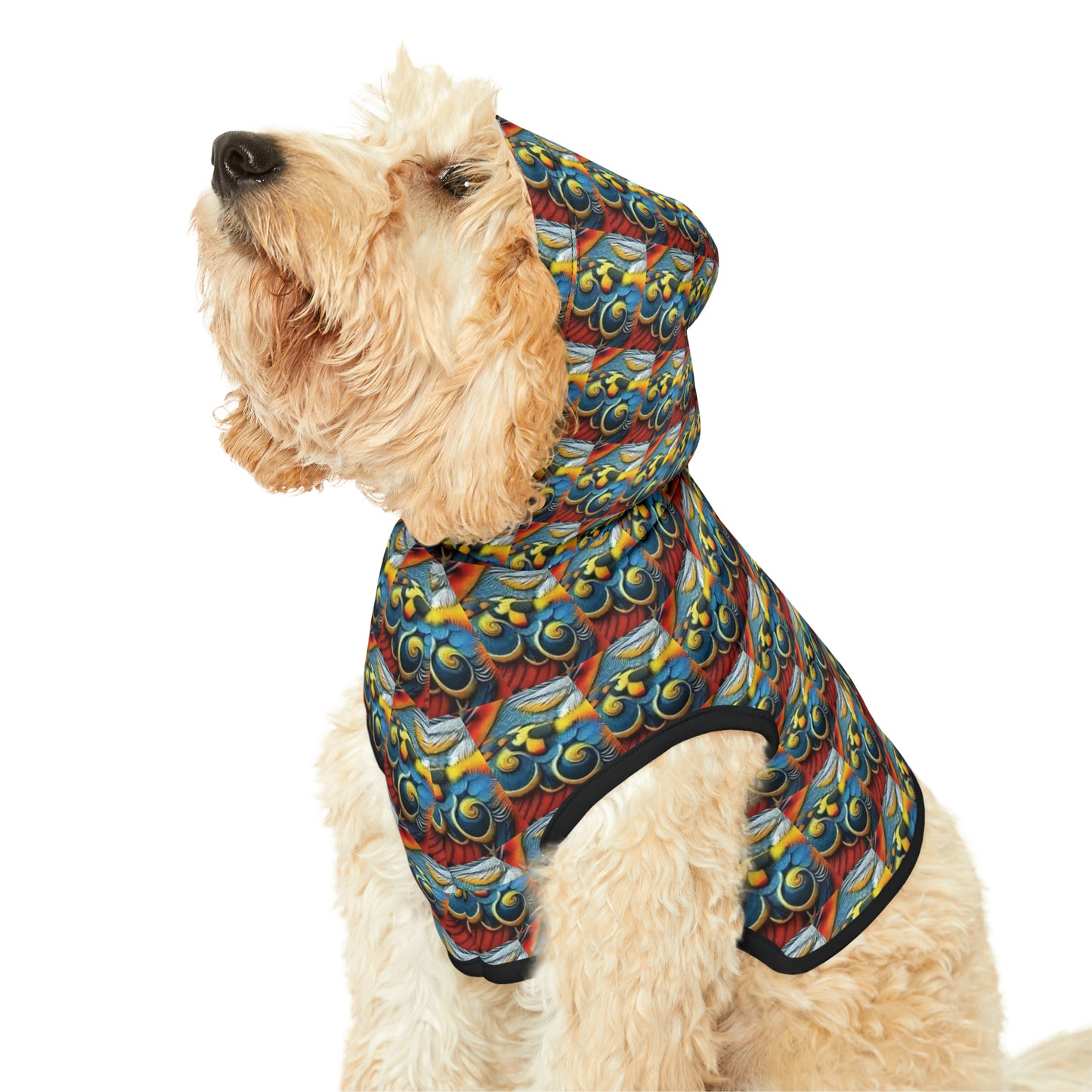 Celion Fashion World's Pet Hoodie.